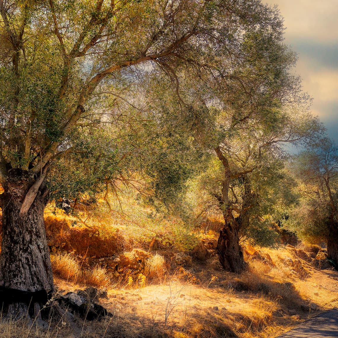 Three Little Fugues from Klavierbüchlein für Wilhelm Bach: II. Fughetta in C Minor, BVW 961