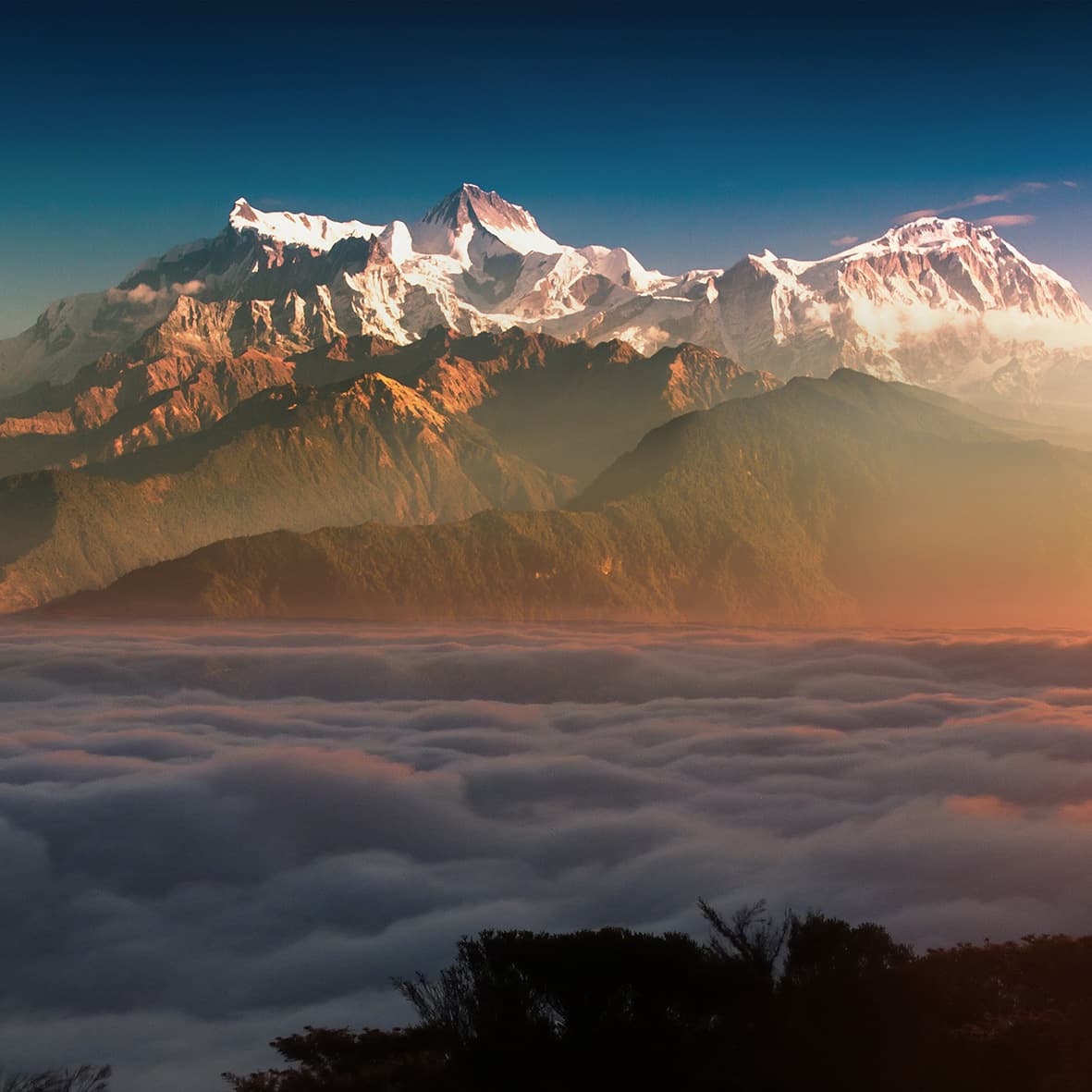 Violin Concerto No.1 in A Minor, BWV 1041