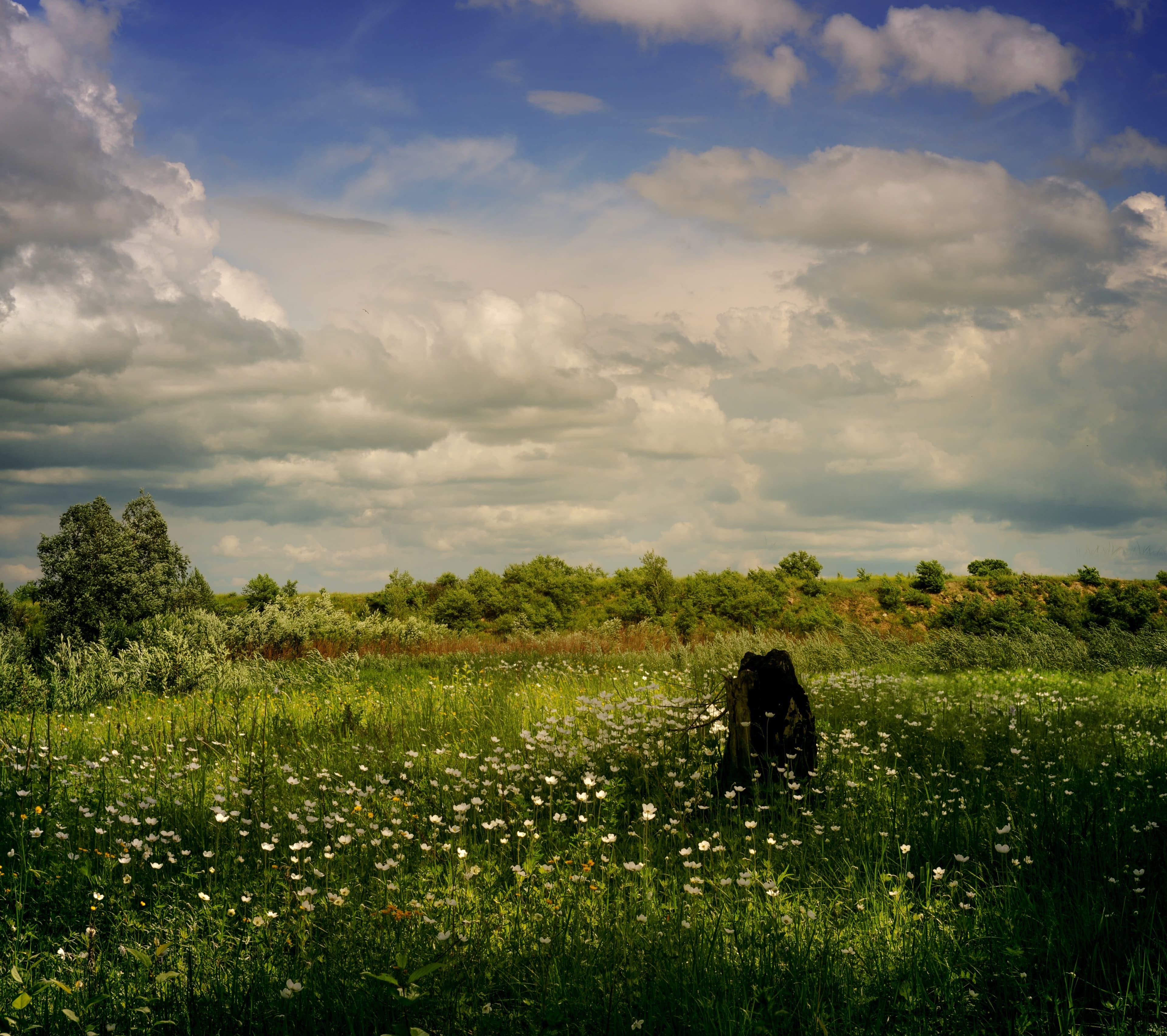 Classical Music for Reading, Writing or Studying