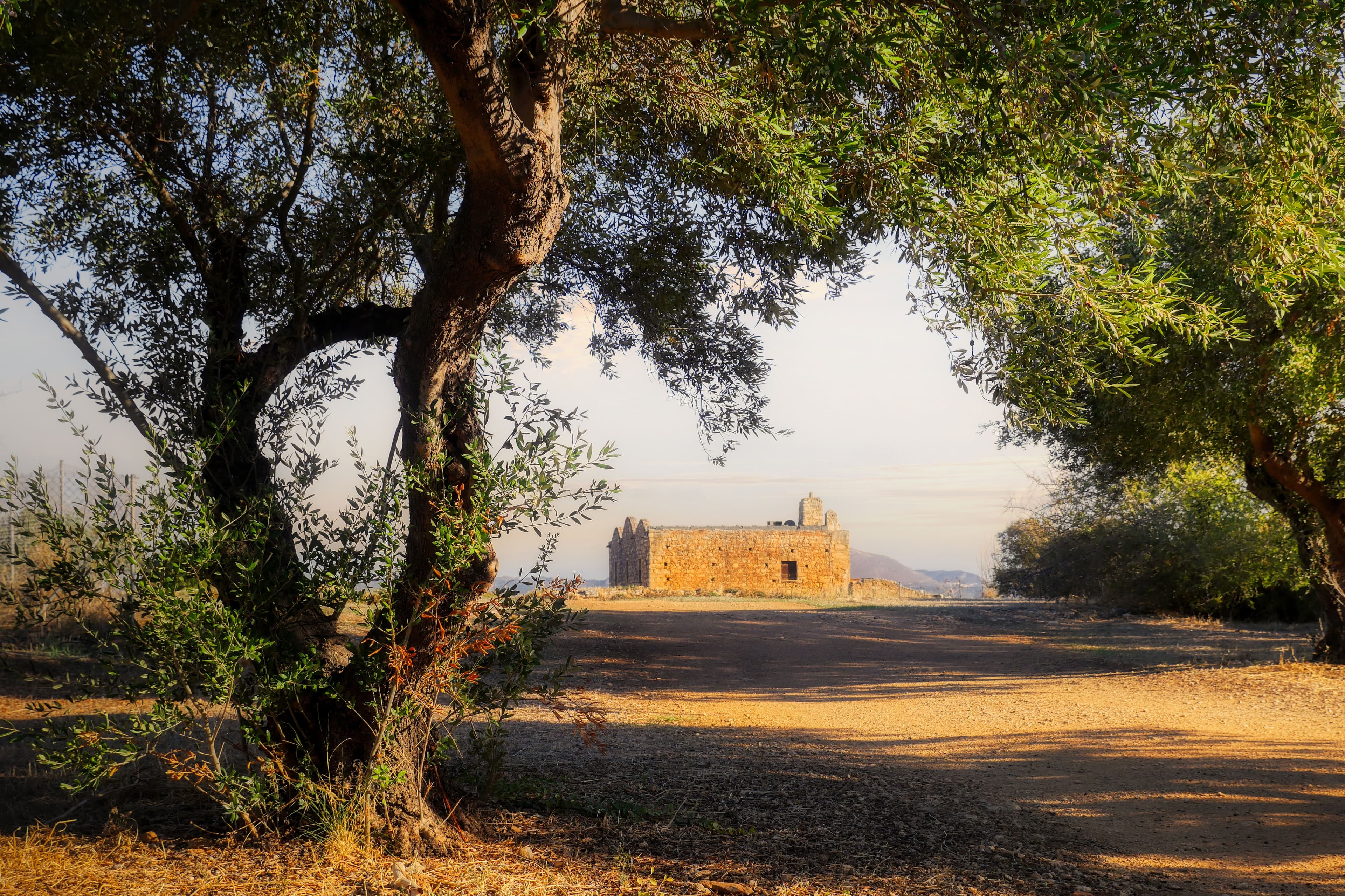 Deep Focus Classical Music