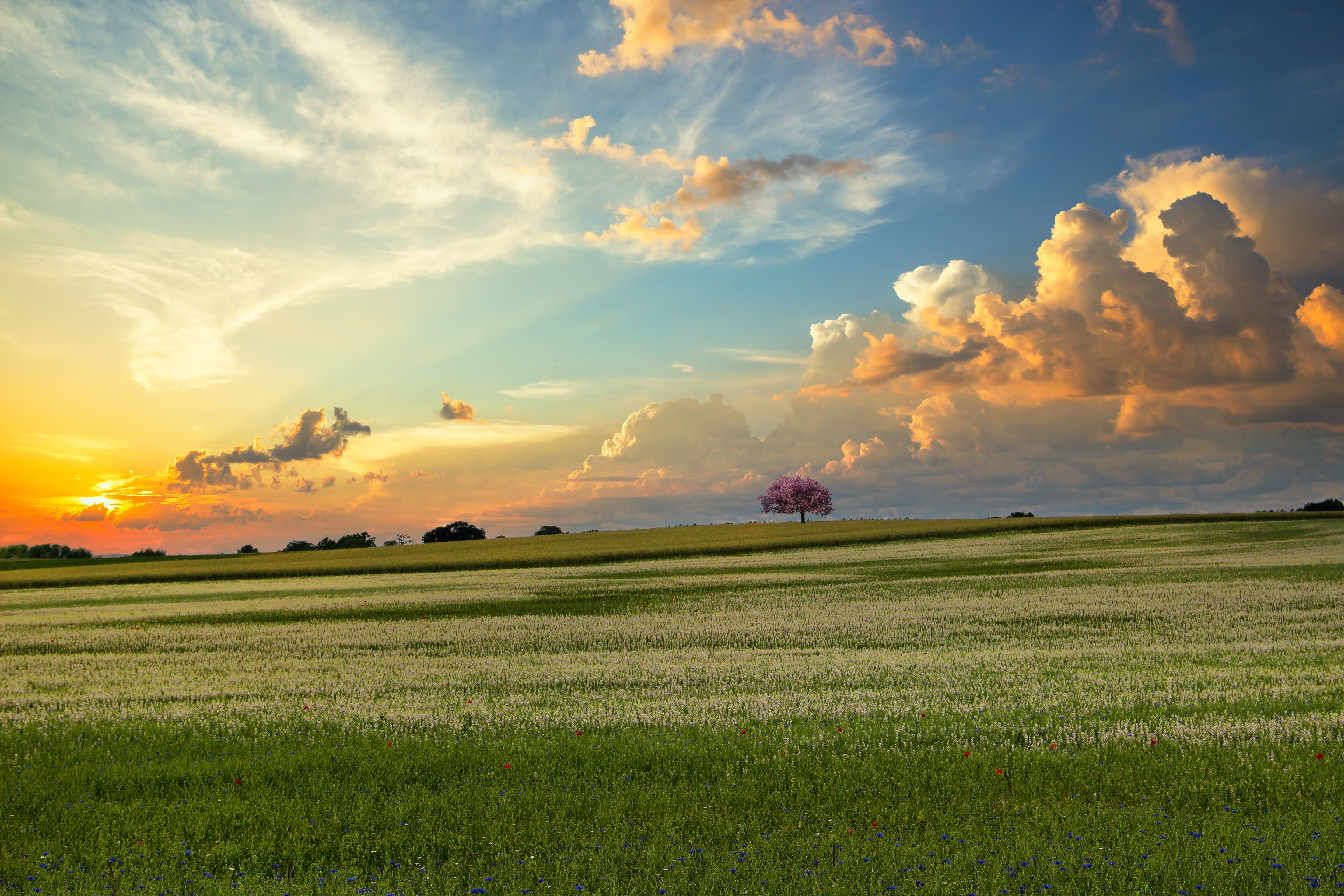 Echoes Through Time: Baroque & Romantic Violin