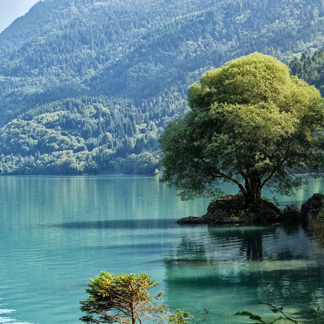 Orfeo ed Euridice, Melodie