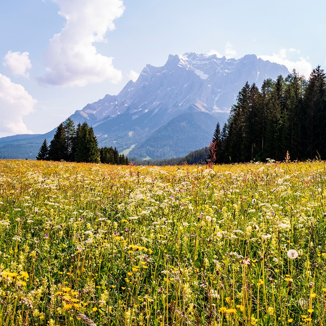 Sonata No.6 for Violin and Piano in E major, Op.1 (PF)