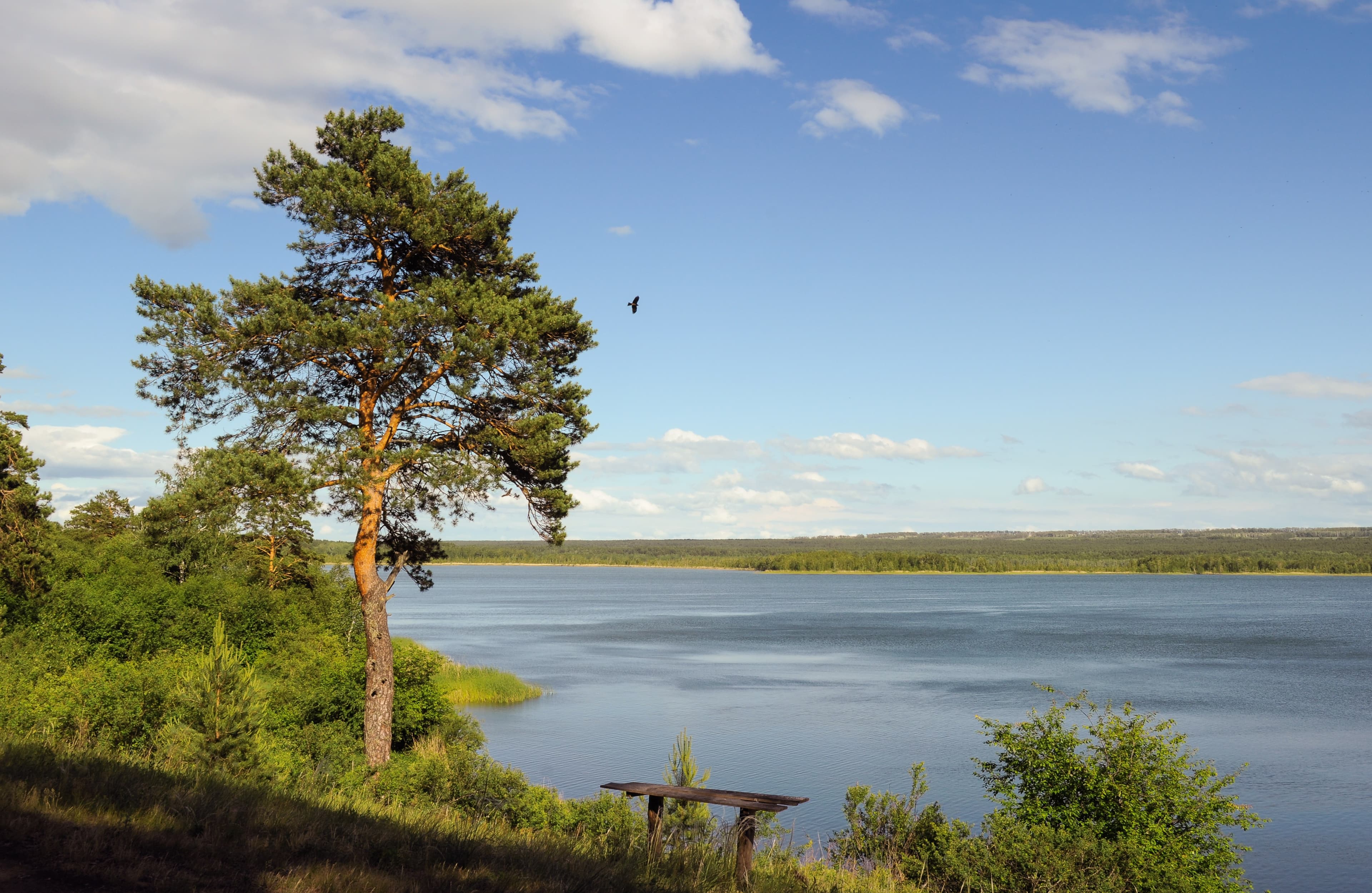 Violin Sonata in B-flat major, K.454: I. Largo - Allegro