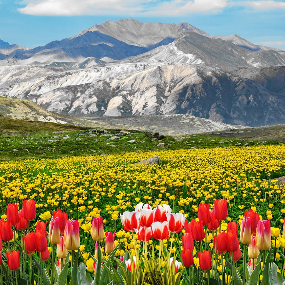 Romantic of Classical Music