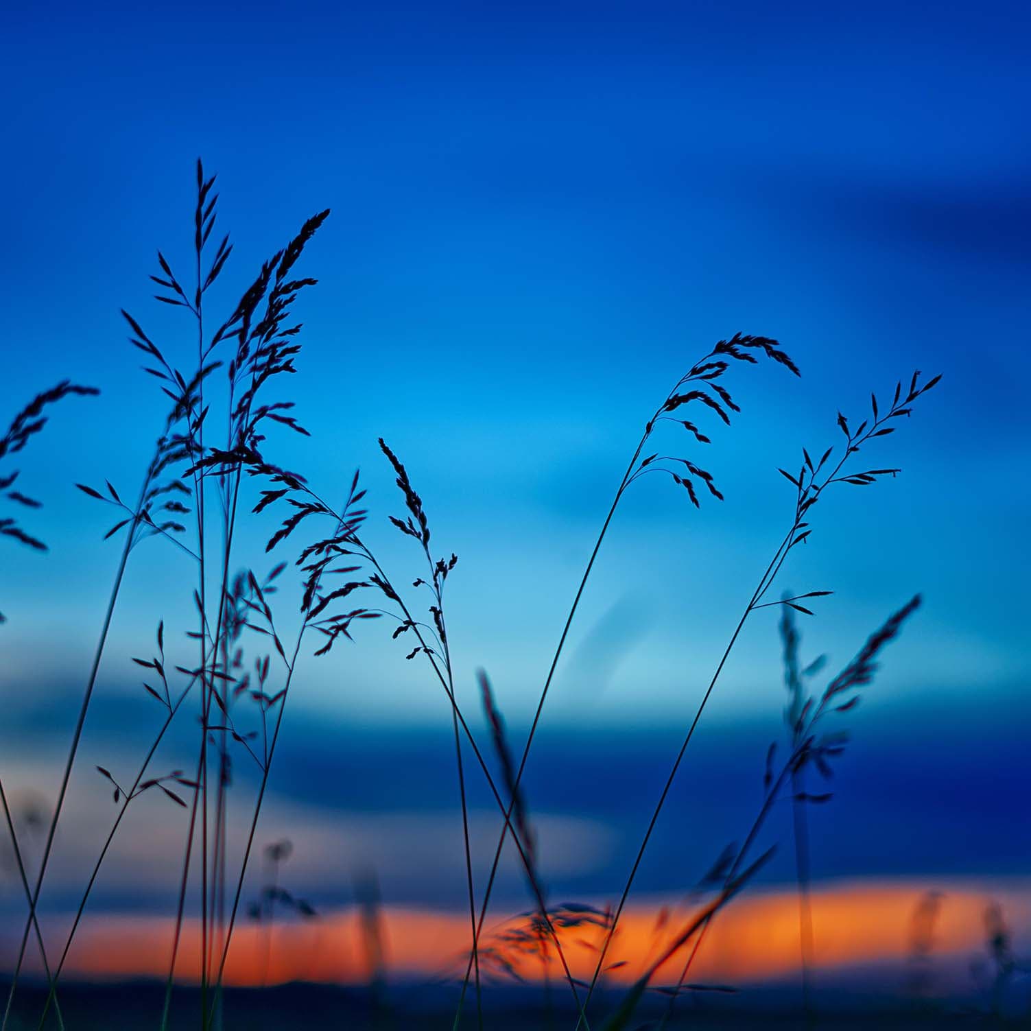 38 Waltzes, Landler and Ecossaises, Op.18: VI. Waltz in B minor