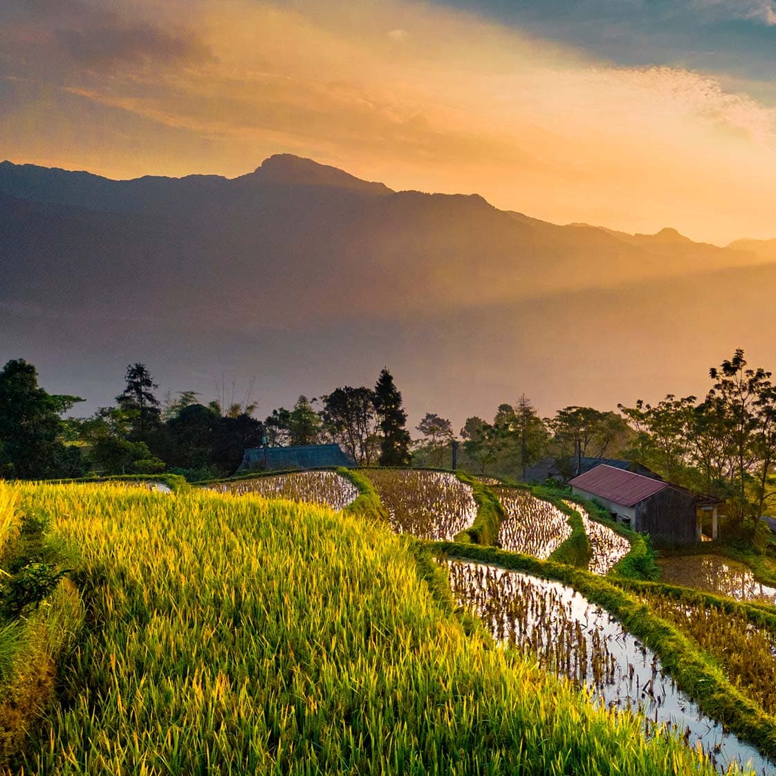 Violin Sonata in A Major Grand Duo, Op. 162, D. 574