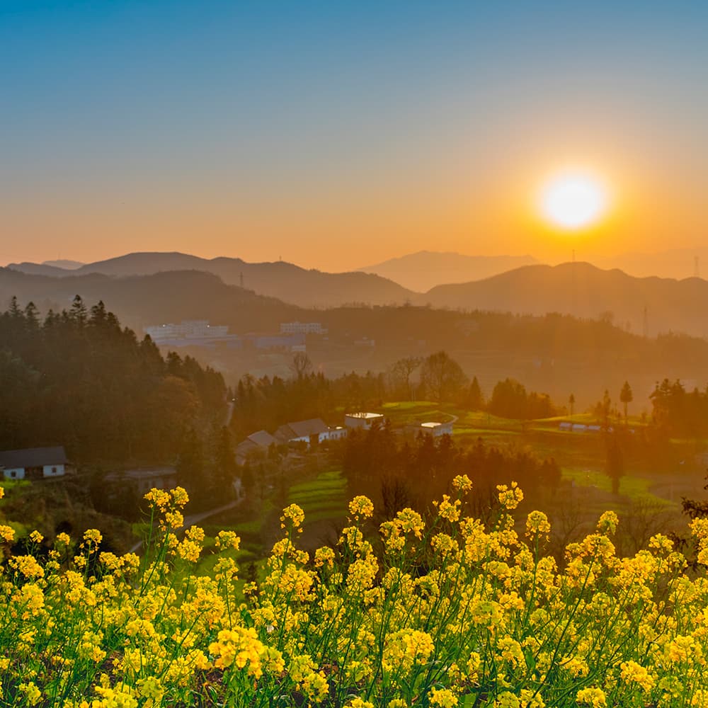 The Most Popular Classical Music