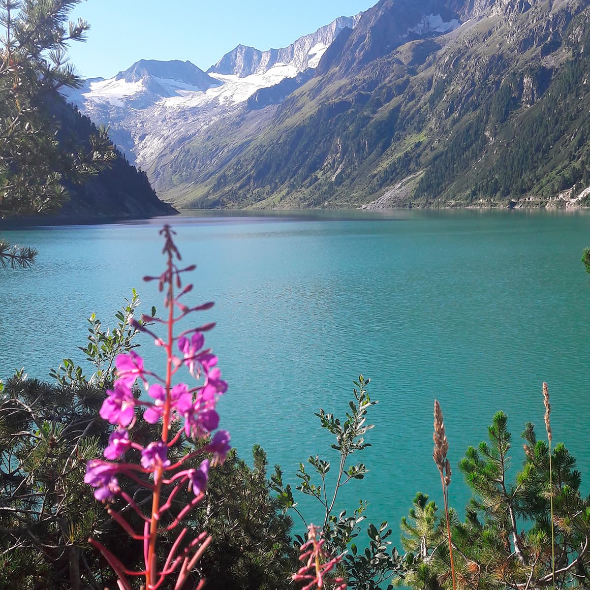 Elegie in C Sharp Minor