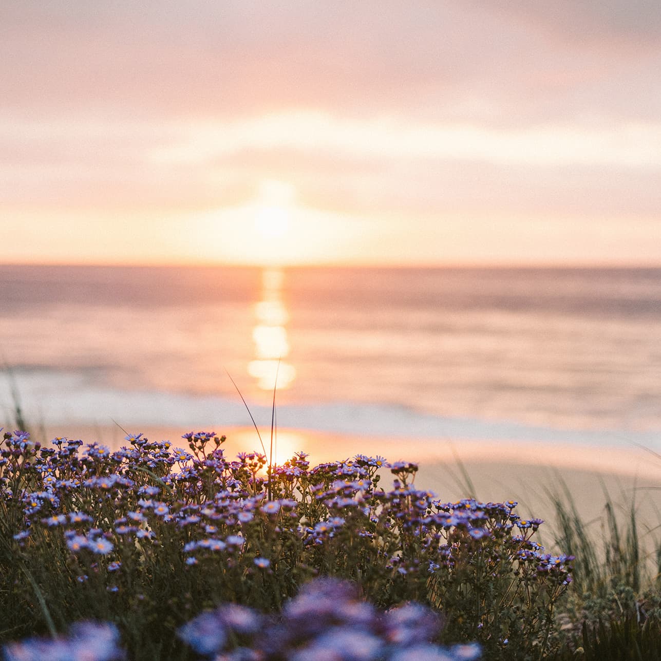 Partita No. 3 in E Major, BWV 1006: No. 6, Gigue