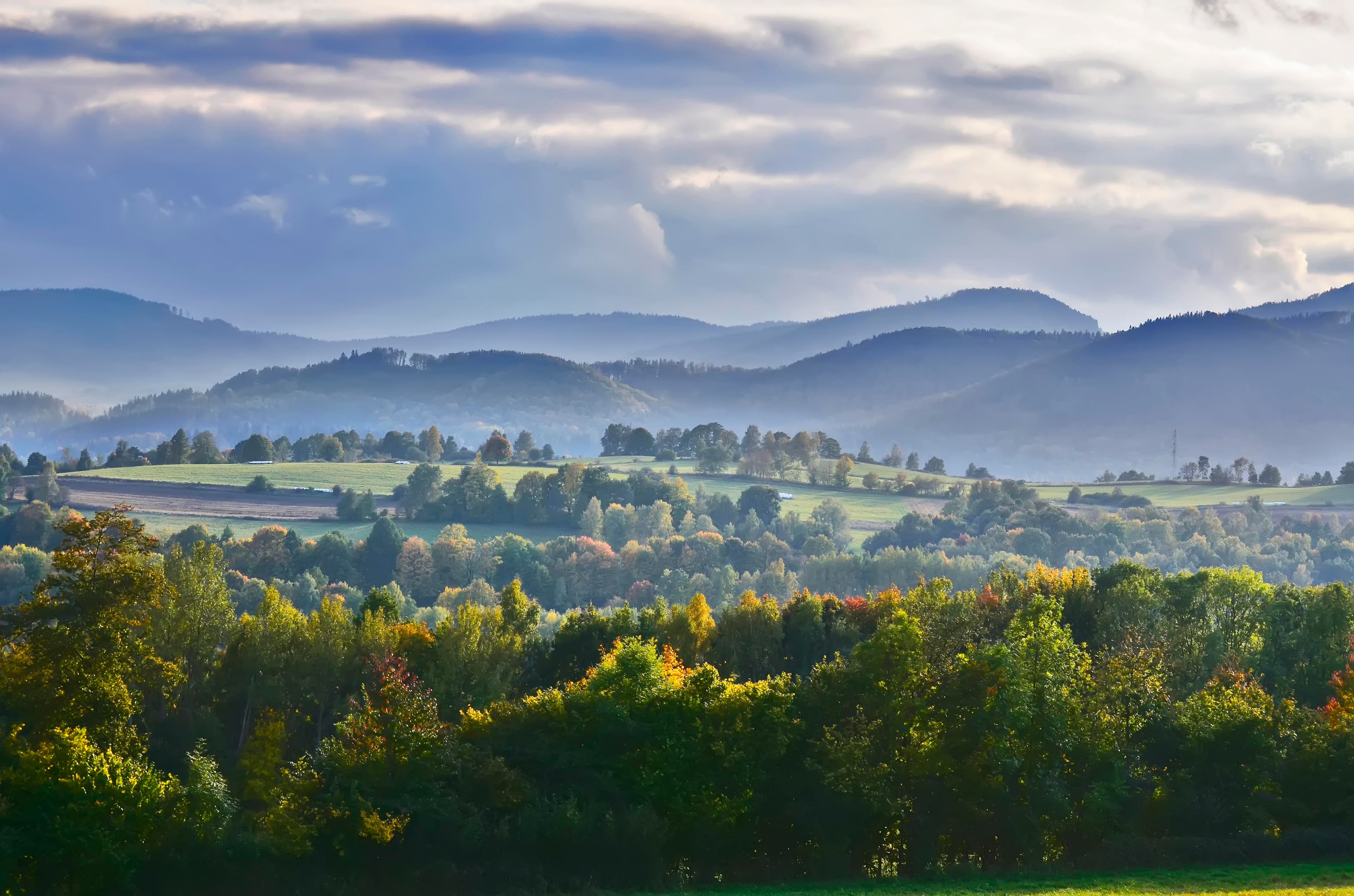 Elegant Classical Violin