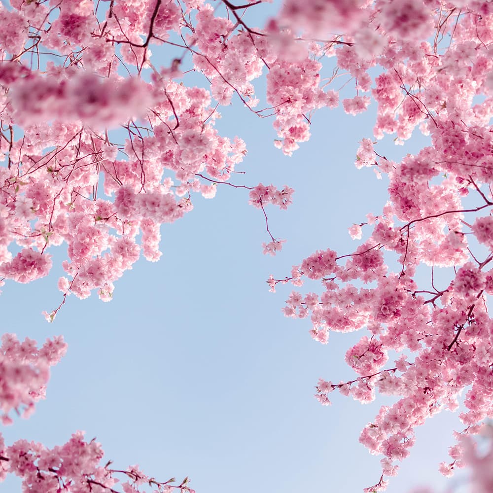 Lyric Pieces Book 2, Op.38: No. 7 Waltz