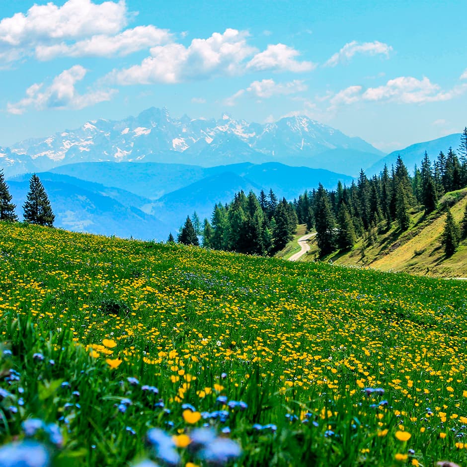 Lieder ohne Worte, Op. 19: No. 6 in G Minor, Venetian Gondola Song