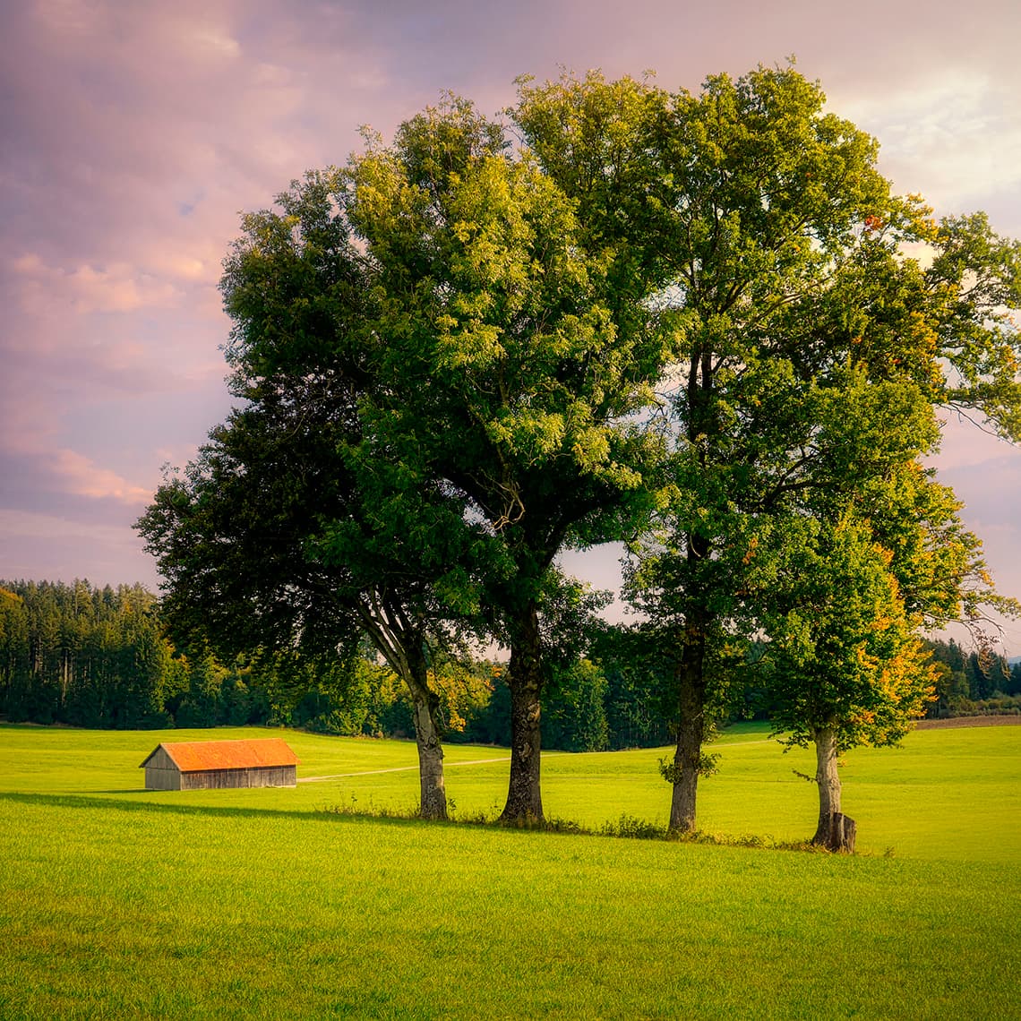 Violin Concerto No. 3 in G Major, K 216