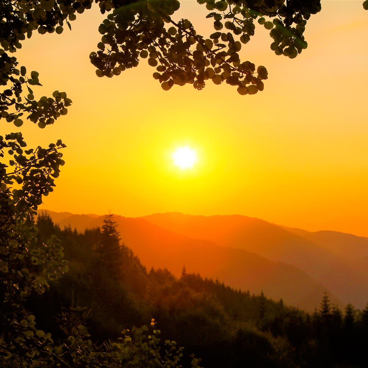 14 Romances, Op. 34: No. 14. Vocalise