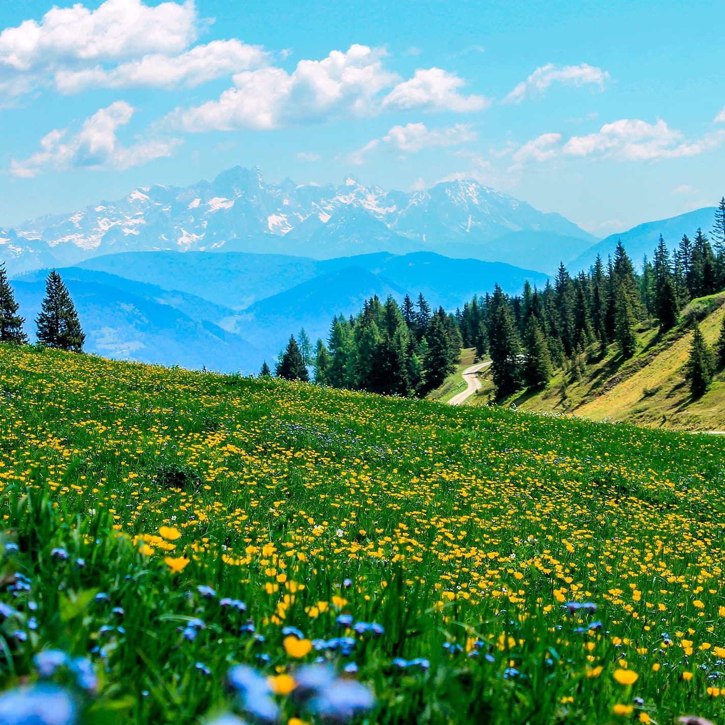 Radiant Classical Music