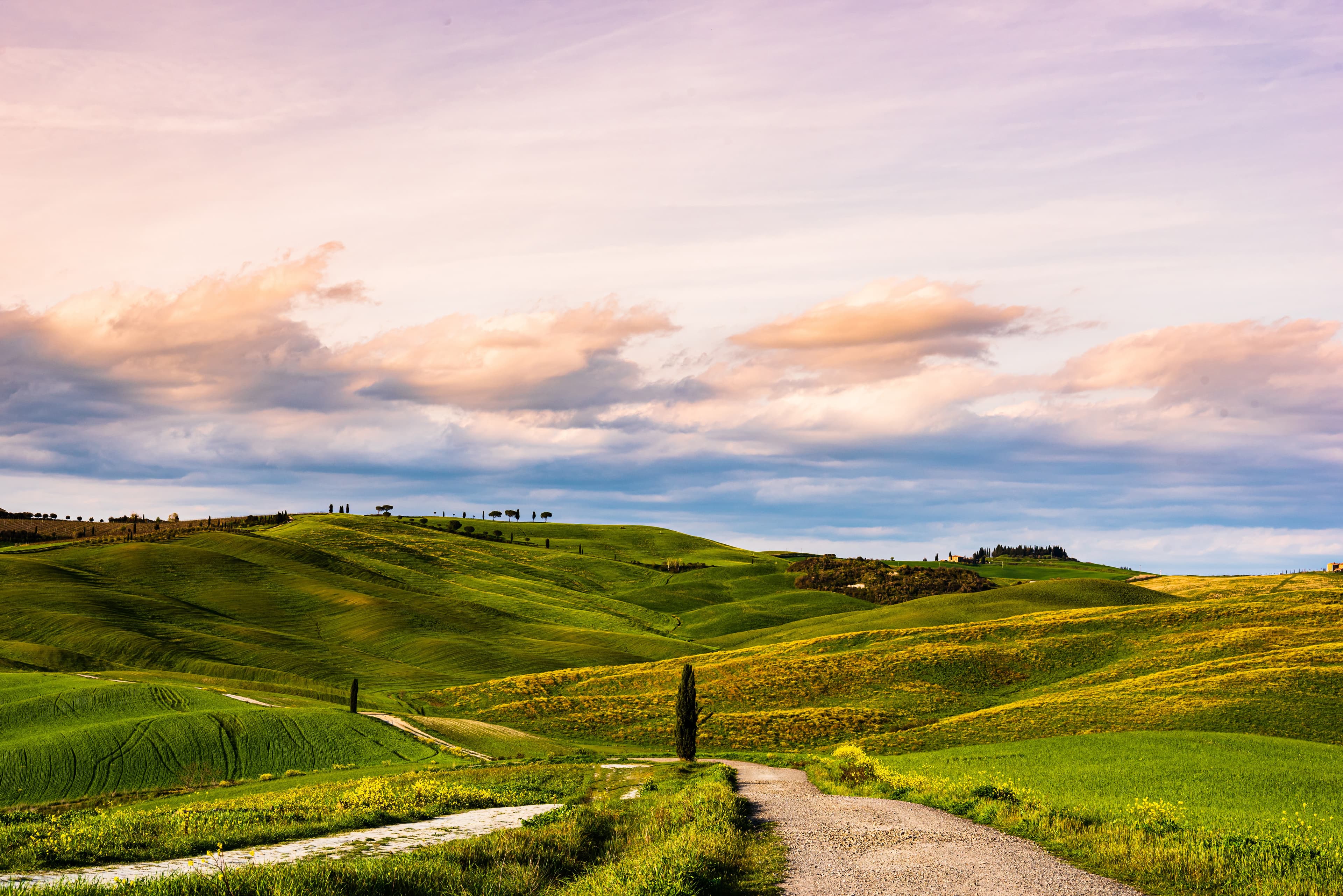 Serene Classical Piano