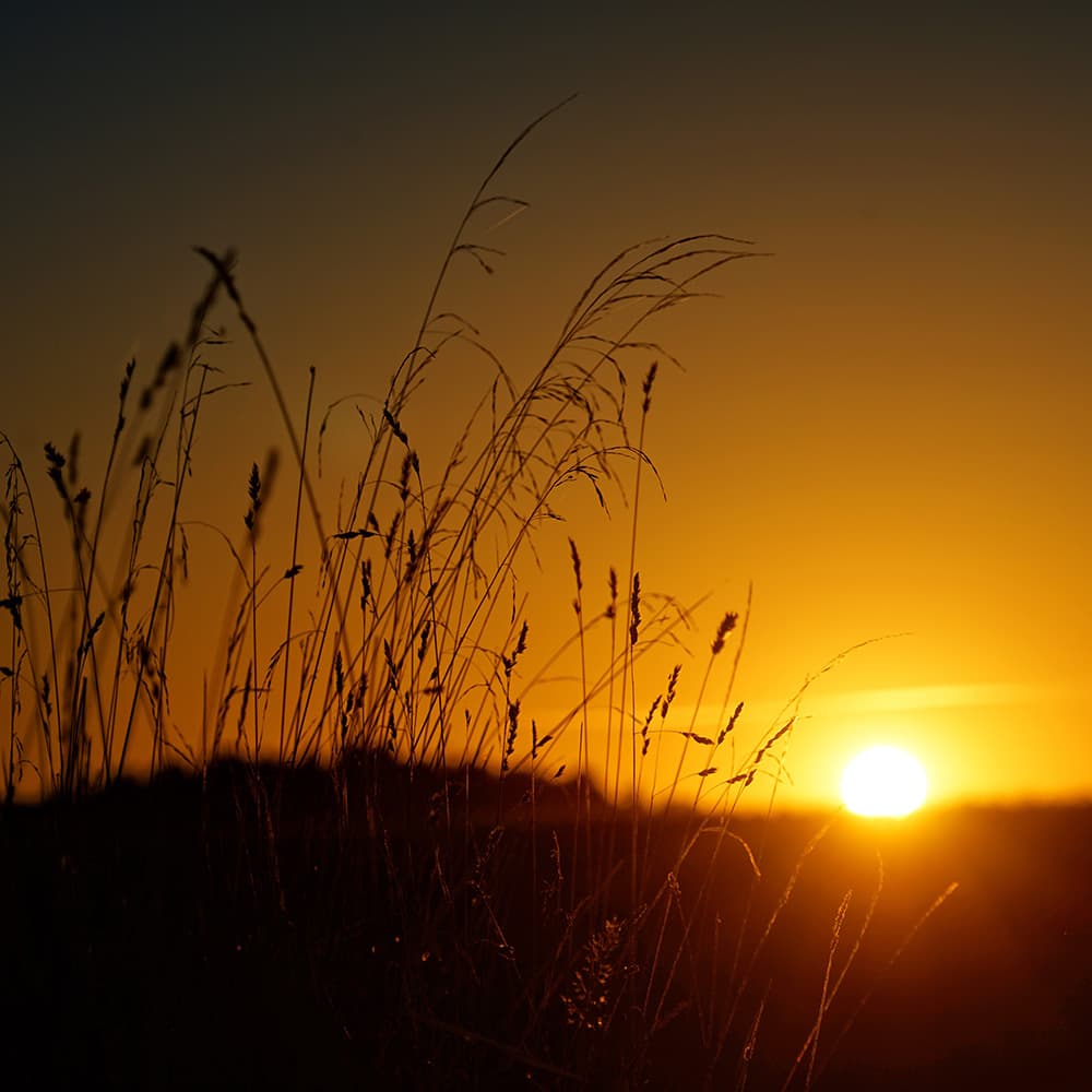 Romance from Violin Concerto in D Minor No.2, Op. 22