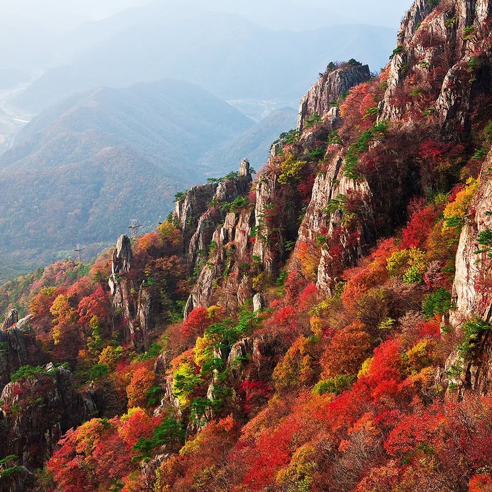 L'Ecole moderne, Op. 10:  Caprice No. 5 Alla Saltarella