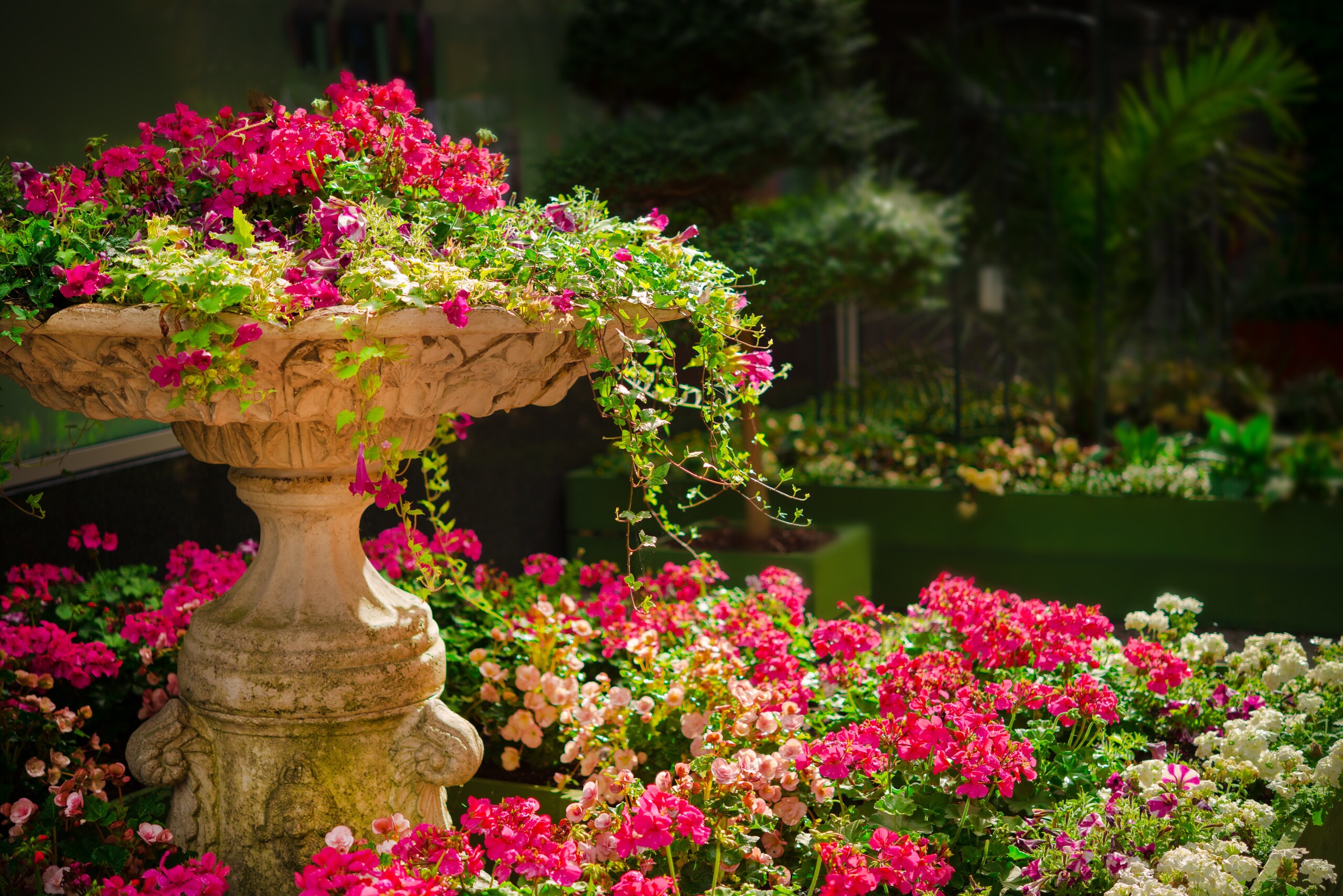 Classical Charm