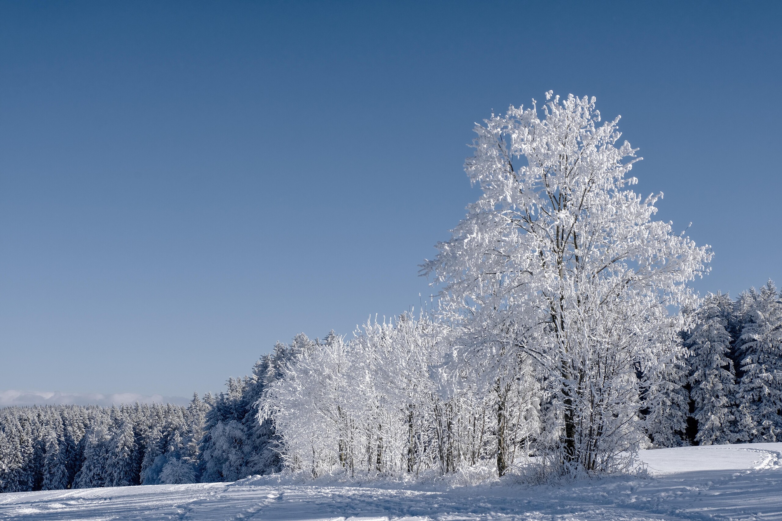 Classical Violin Music for Winter