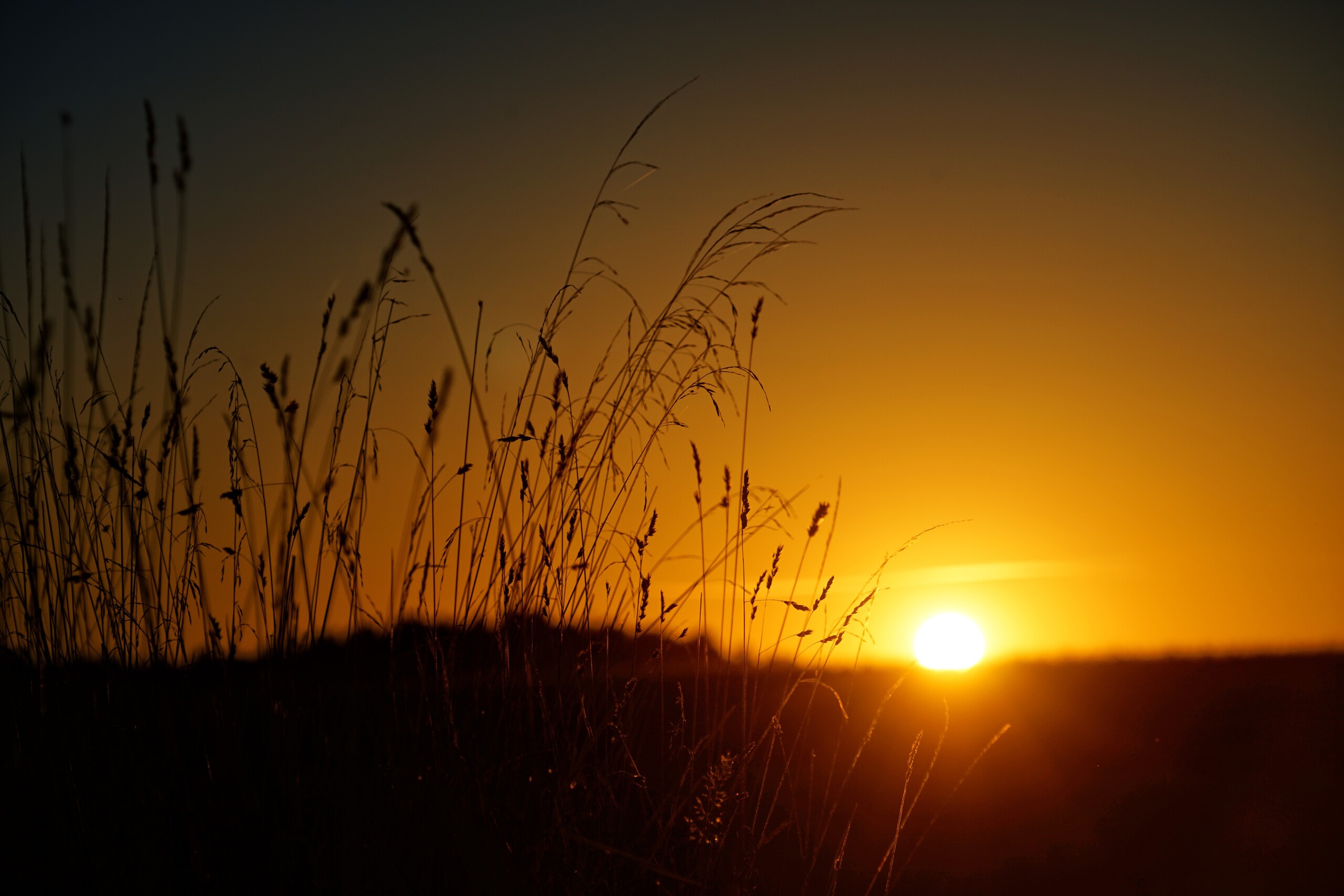 Romance from Violin Concerto in D Minor No.2, Op. 22