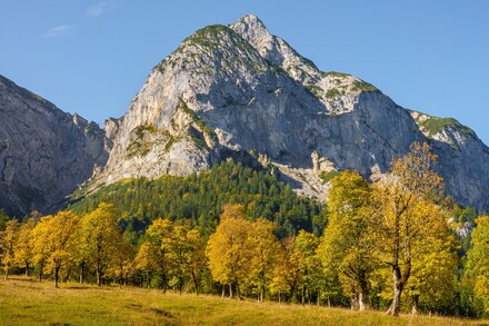 Classical Music for Calm Autumn