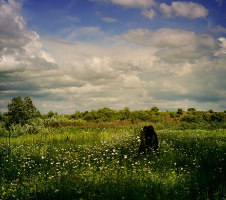 Classical Music for Reading, Writing or Studying