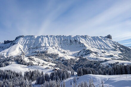 Winter Radiance: Classical Treasures 